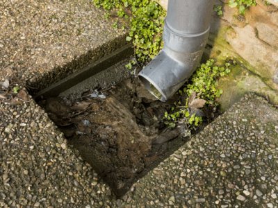 Blocked Drain Plumbing