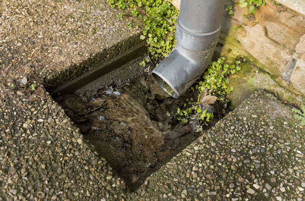 Blocked Drain Plumbing